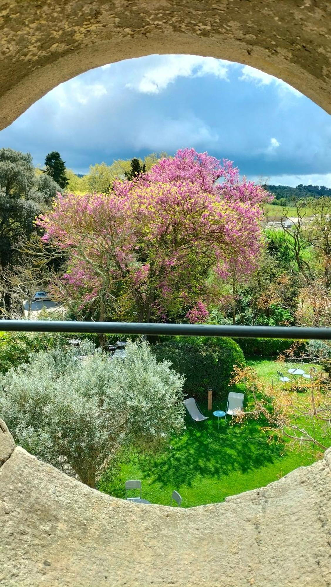 Logis Chateau De 4* Palaja